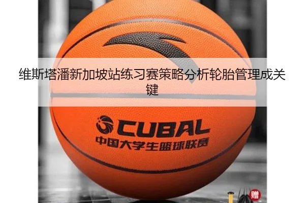 维斯塔潘新加坡站练习赛策略分析轮胎管理成关键